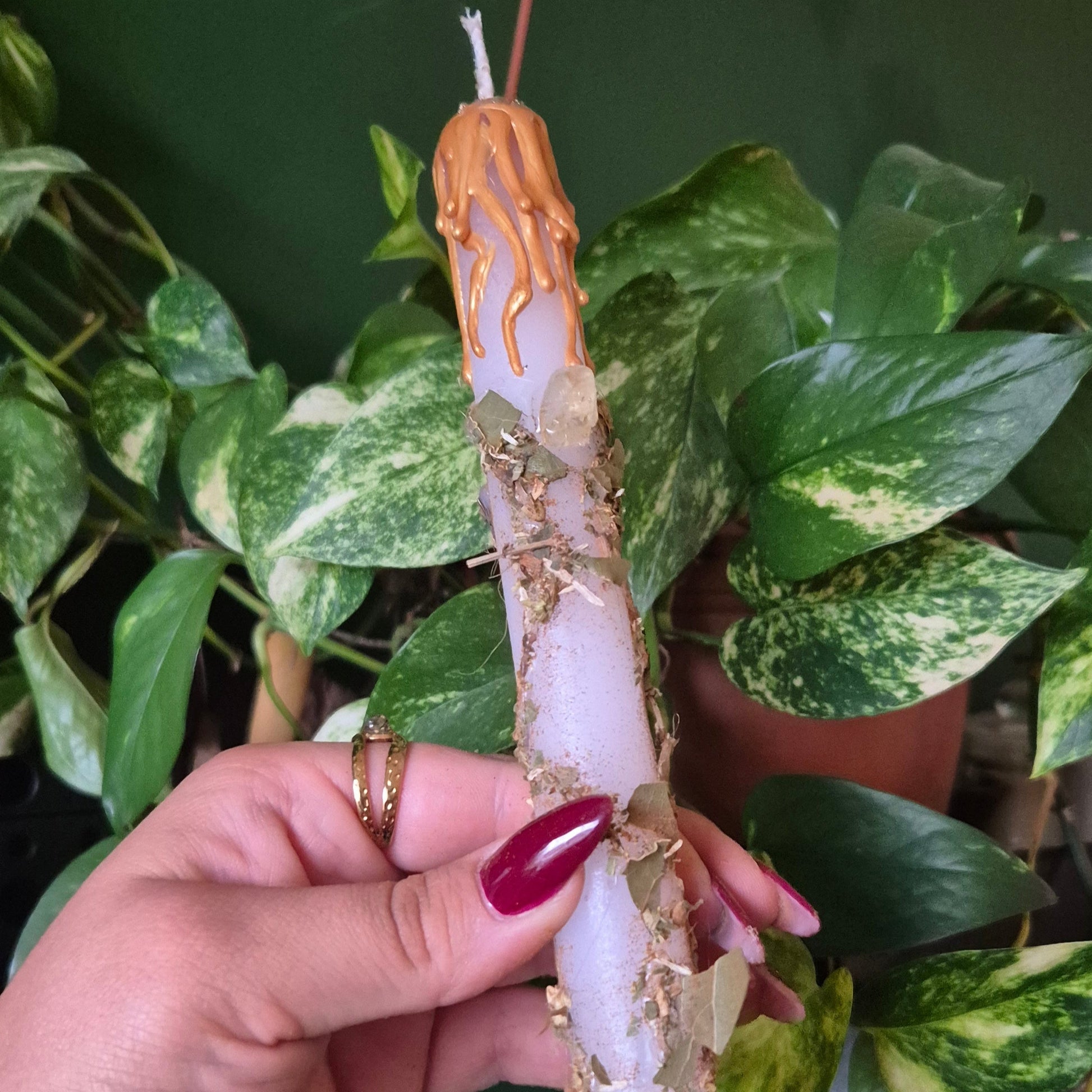 Hand holding a spell candle with plants in the background