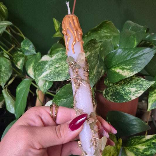 Hand holding a spell candle with plants in the background