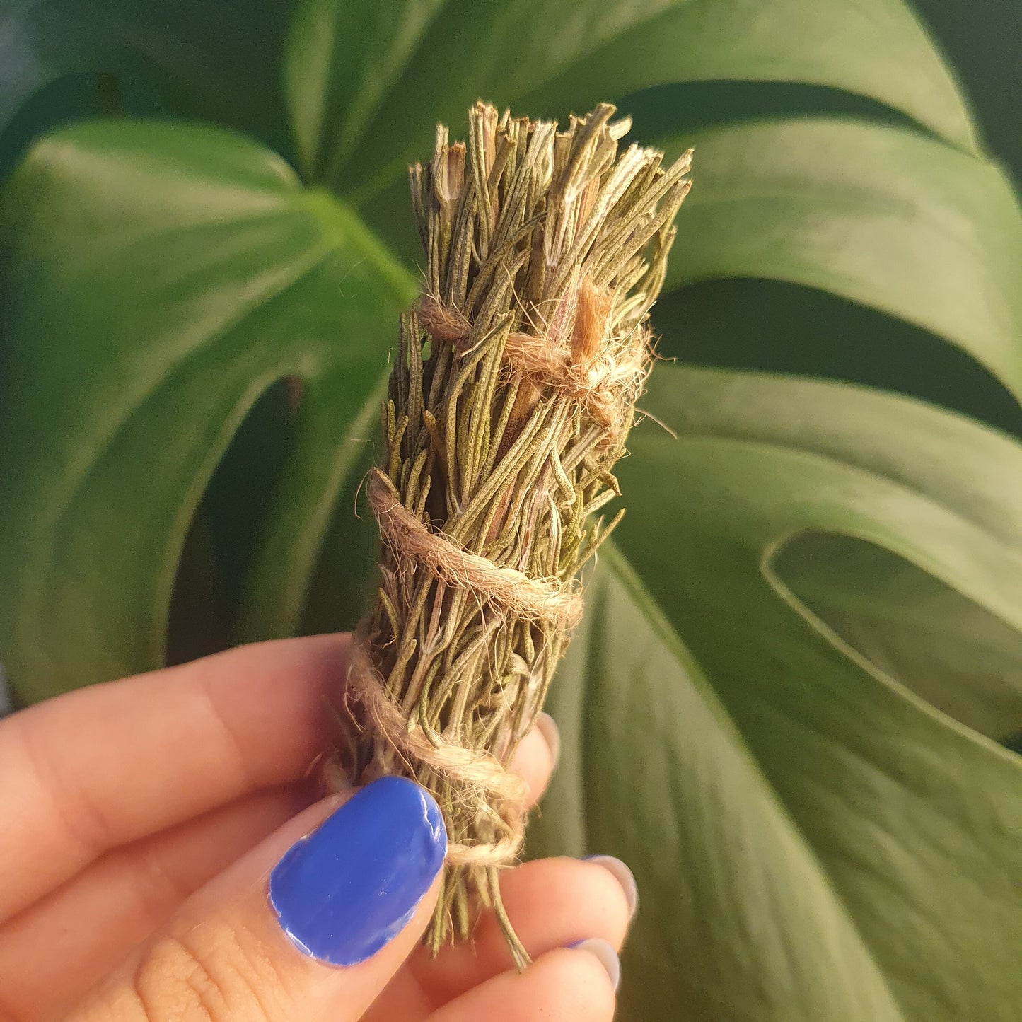 Rosemary Smudge Stick | Rosemary Natural Incense